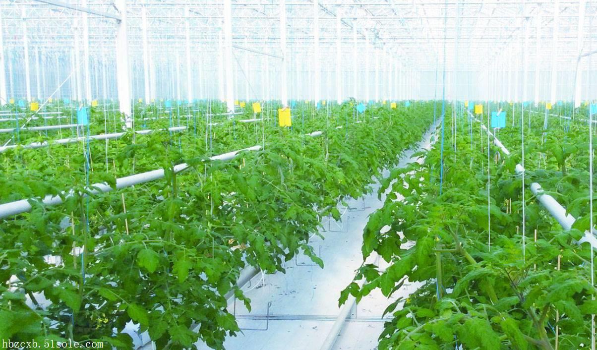 3a9daeff534574ff9627265a6380a528_b_1432593_201807141559523064.jpg 3a9daeff534574ff9627265a6380a528_b_1432593_201807141559523064.jpg