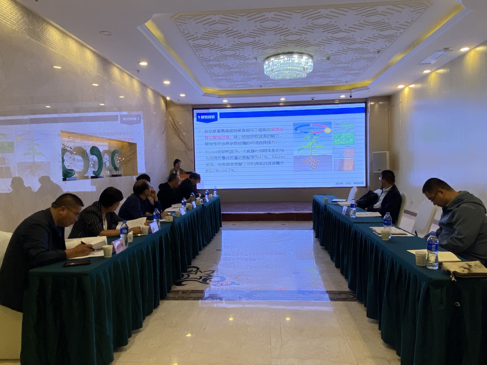 48802b03fcc9d3d27ca04f41e704549.jpg 48802b03fcc9d3d27ca04f41e704549.jpg