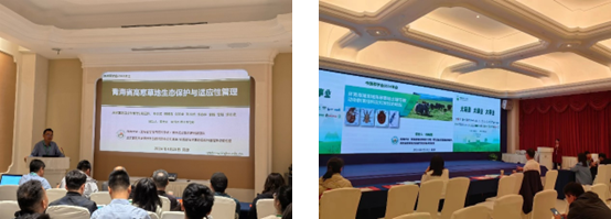 532b3aad5870929b91b3786e40f92dc.png 532b3aad5870929b91b3786e40f92dc.png