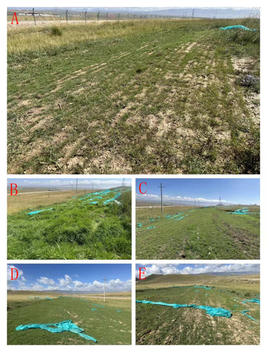 7bc08336df5e75cf4fb97126b0c27cdb.png 7bc08336df5e75cf4fb97126b0c27cdb.png