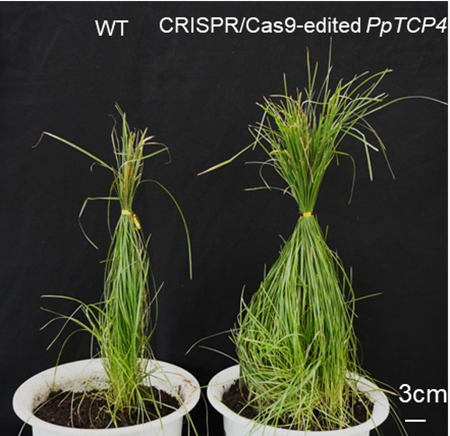 16aa19e42c1b2f89cf99d13dc9857d3f.png 16aa19e42c1b2f89cf99d13dc9857d3f.png