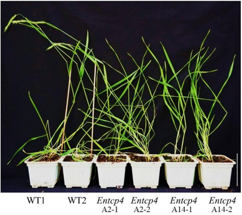 54070f54f02dca78aad46ceccab33395.png 54070f54f02dca78aad46ceccab33395.png