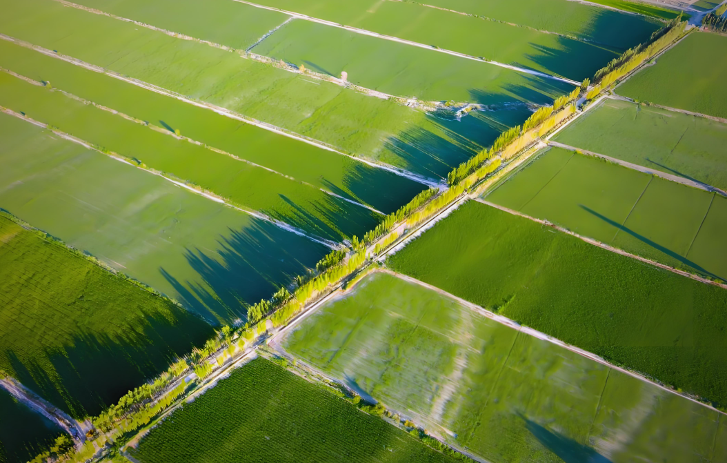 d1638c62-ce3b-4aa0-8311-2b30b13a9fcc.png d1638c62-ce3b-4aa0-8311-2b30b13a9fcc.png